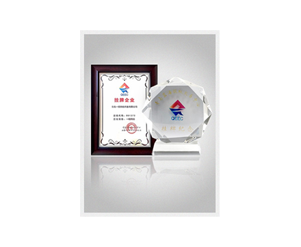 企业上市股权证书